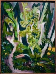 Forest Interior